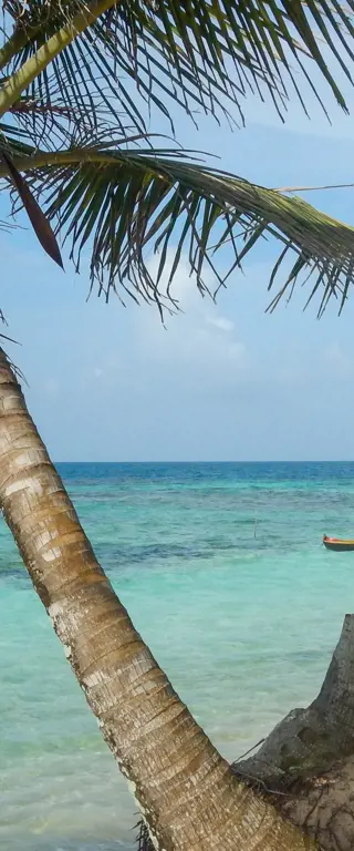 Rendez-vous mit der Welt